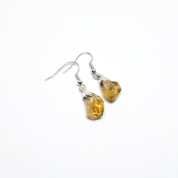 Crystal Cuties - Earrings